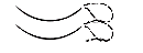 43